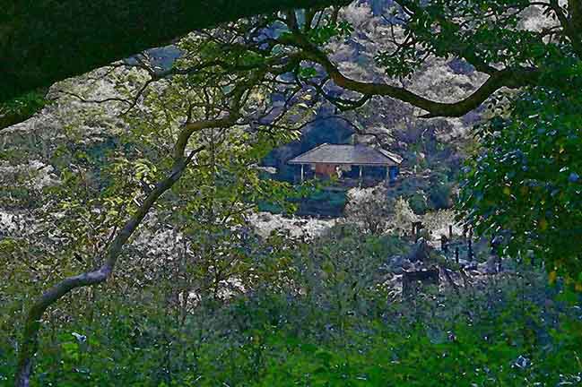 芦屋プラン株式会社七夕（たなばた1 Copilot